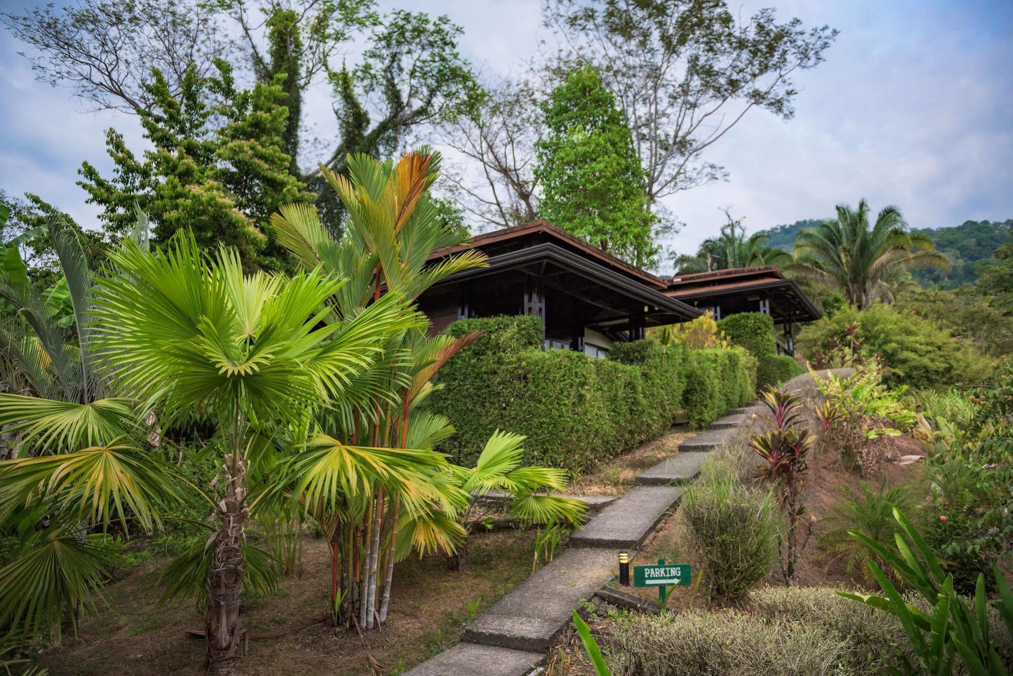 אוביטה Tiki Villas Rainforest Lodge & Spa מראה חיצוני תמונה