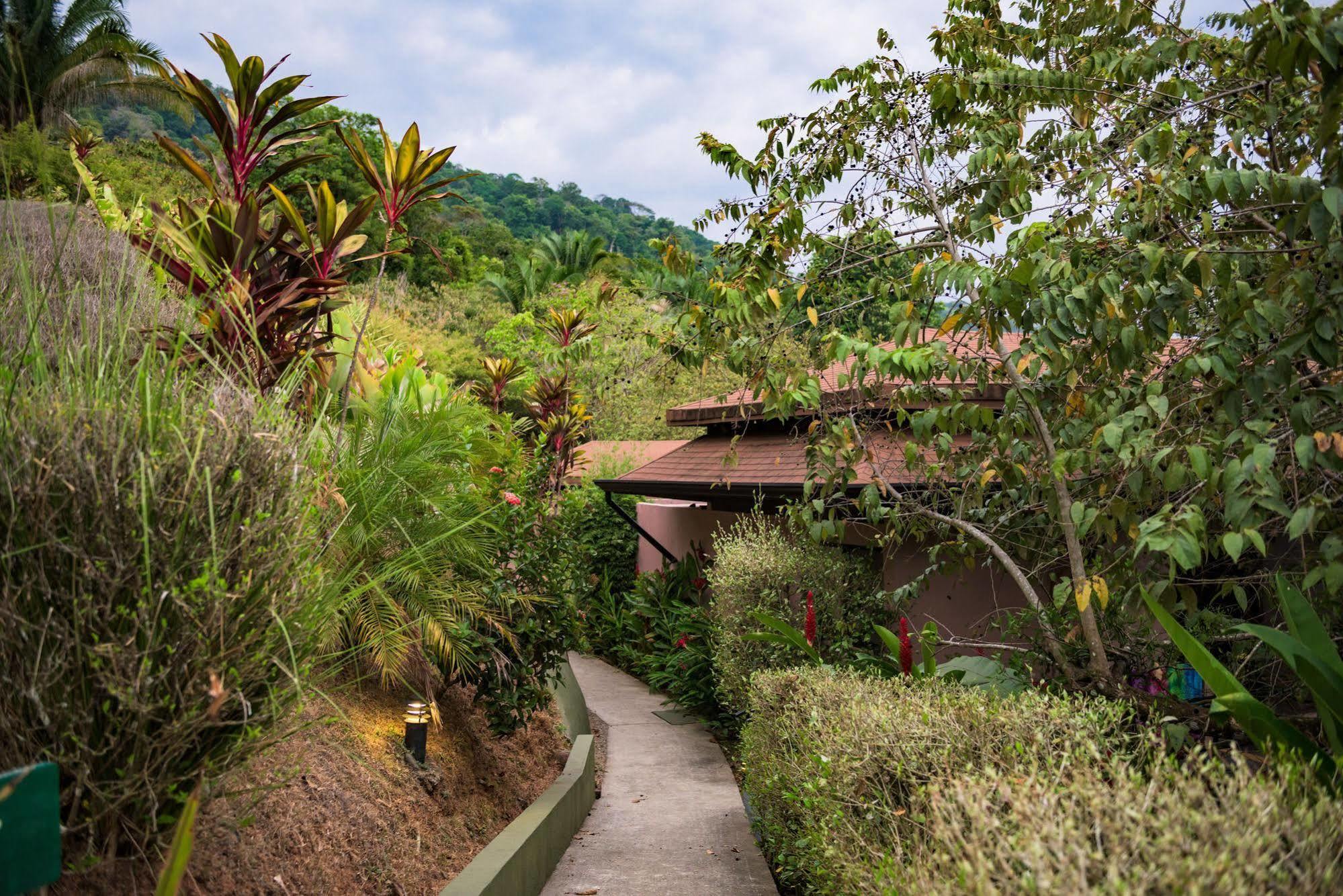 אוביטה Tiki Villas Rainforest Lodge & Spa מראה חיצוני תמונה