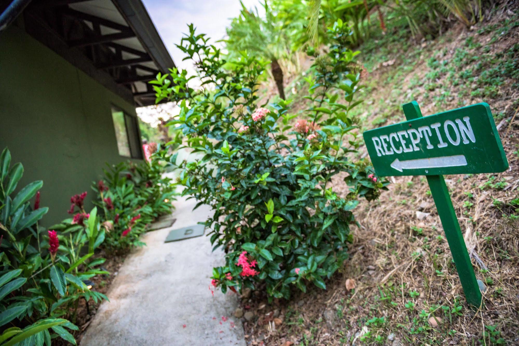 אוביטה Tiki Villas Rainforest Lodge & Spa מראה חיצוני תמונה